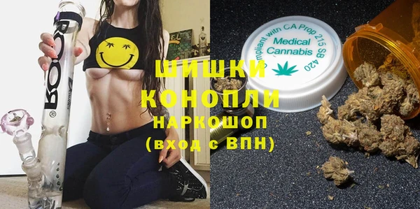 ПСИЛОЦИБИНОВЫЕ ГРИБЫ Арсеньев