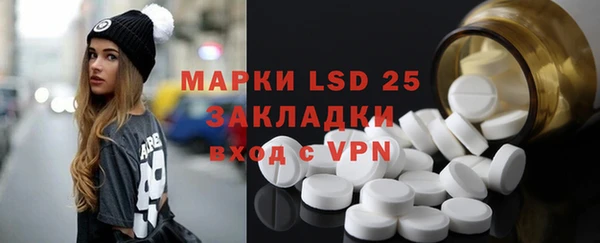 ПСИЛОЦИБИНОВЫЕ ГРИБЫ Арсеньев