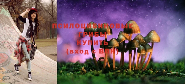прущая мука Армянск