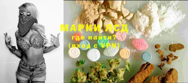 ПСИЛОЦИБИНОВЫЕ ГРИБЫ Арсеньев