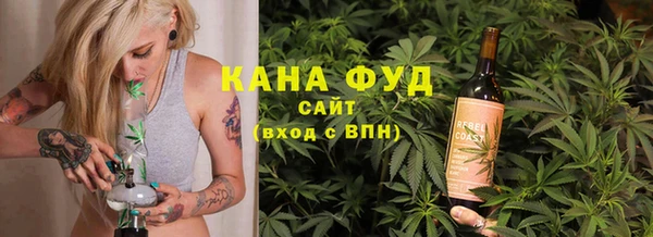 СК Алексин